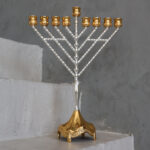 חנוכיה משולבת-חבד