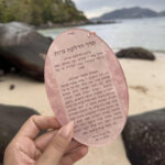 ברכון פרספקס - אליפסה ורוד