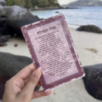 ברכון פרספקס- דיור בורדו