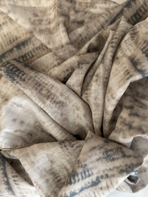 דגם ונוס בד-לונג