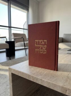 ⁦מארז 5 הגדות- חמרה⁩ – תמונה ⁦2⁩