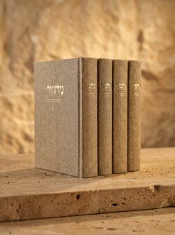 ⁦סט מחזורים-בז⁩ – תמונה ⁦2⁩