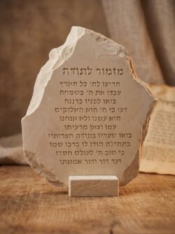 מזמור לתודה- שמנת בז