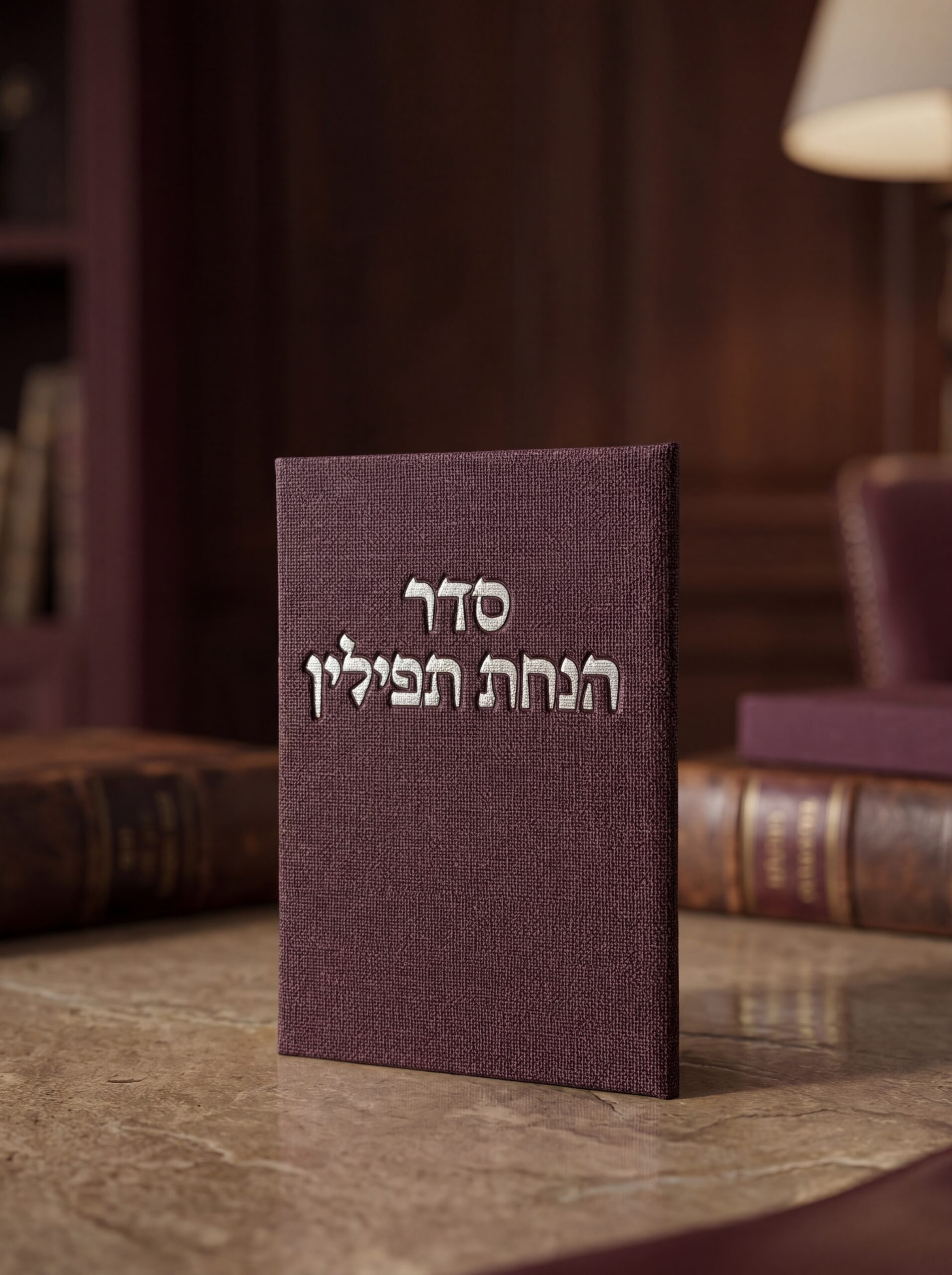 9a478e4f-81bd-4161-bcf2-1f005950bbb2_file הנחת תפילין-כחול (העתק) – תמונה 1